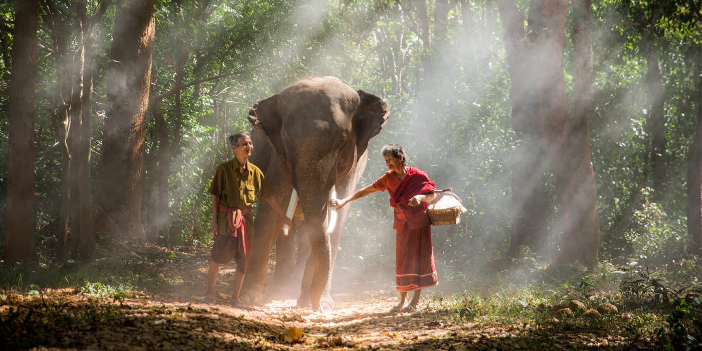elephant-and-senior-couple-in-thailand